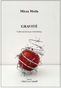 Metin vignette